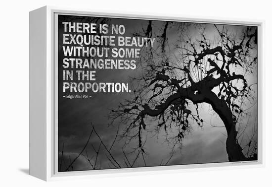 Beauty and Strangeness Edgar Allan Poe Poster-null-Framed Stretched Canvas