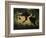 Beauty and the Beast, c.1908-Henri Rousseau-Framed Giclee Print