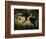 Beauty and the Beast, c.1908-Henri Rousseau-Framed Giclee Print