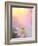 Beauty at Dawn-Bahman Farzad-Framed Photographic Print