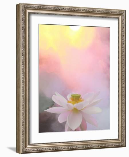 Beauty at Dawn-Bahman Farzad-Framed Photographic Print