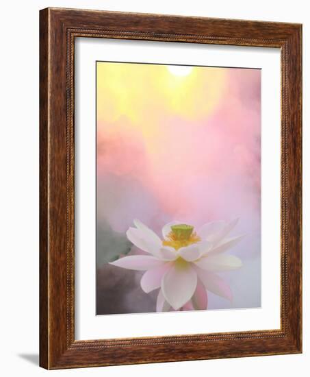 Beauty at Dawn-Bahman Farzad-Framed Photographic Print