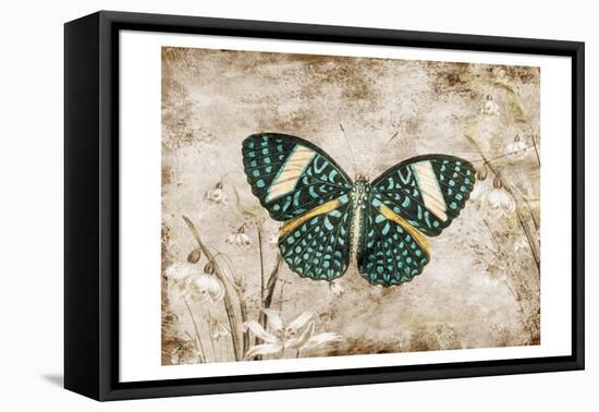 Beauty From Within 3-Sheldon Lewis-Framed Stretched Canvas