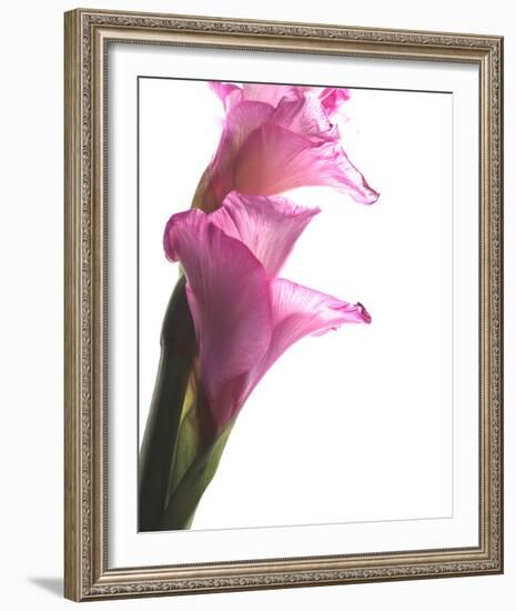 Beauty in the Bloom I-Monika Burkhart-Framed Photo