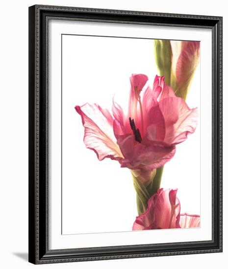 Beauty in the Bloom II-Monika Burkhart-Framed Photo