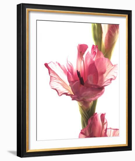Beauty in the Bloom II-Monika Burkhart-Framed Photo