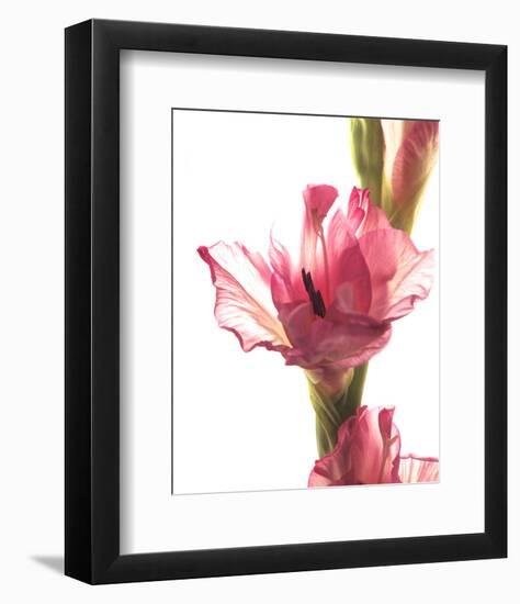 Beauty in the Bloom II-Monika Burkhart-Framed Photo