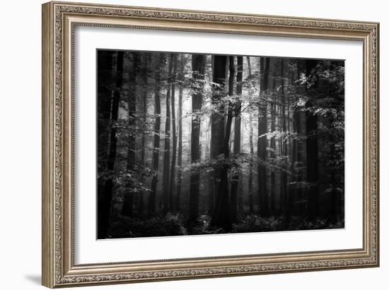 Beauty in the Sorrow-Philippe Sainte-Laudy-Framed Photographic Print