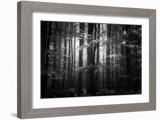 Beauty in the Sorrow-Philippe Sainte-Laudy-Framed Photographic Print