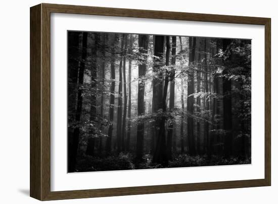 Beauty in the Sorrow-Philippe Sainte-Laudy-Framed Photographic Print