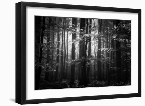 Beauty in the Sorrow-Philippe Sainte-Laudy-Framed Photographic Print