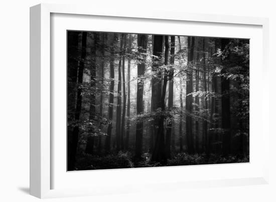 Beauty in the Sorrow-Philippe Sainte-Laudy-Framed Photographic Print