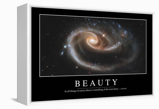 Beauty: Inspirational Quote and Motivational Poster-null-Framed Premier Image Canvas