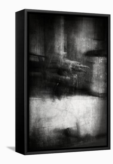 Beauty Is a Witch' Series Elvaston Castle..'Crow'-Mark Gordon-Framed Premier Image Canvas