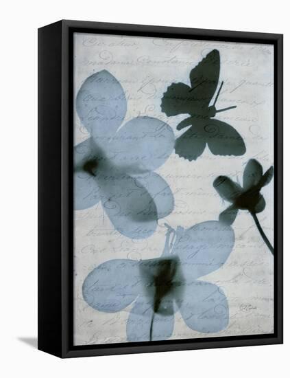 Beauty of Light Blue 1-Dan Zamudio-Framed Stretched Canvas