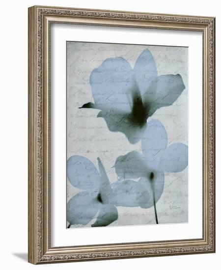 Beauty of Light Blue 2-Dan Zamudio-Framed Art Print