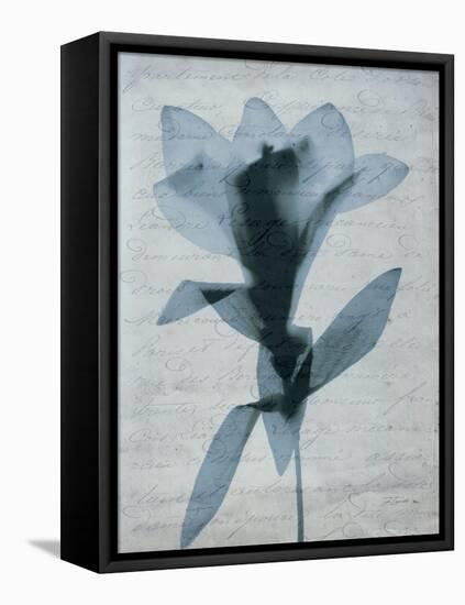 Beauty of Light Blue 4-Dan Zamudio-Framed Stretched Canvas