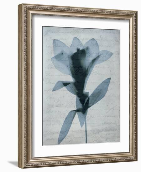 Beauty of Light Blue 4-Dan Zamudio-Framed Art Print