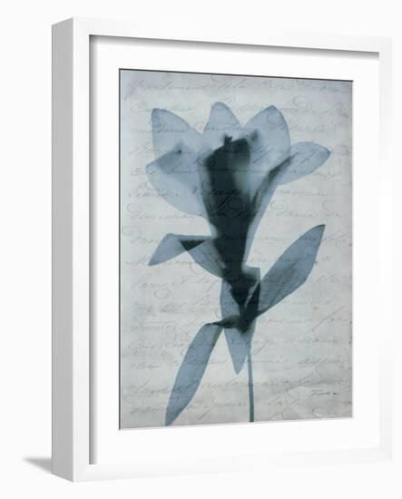 Beauty of Light Blue 4-Dan Zamudio-Framed Art Print