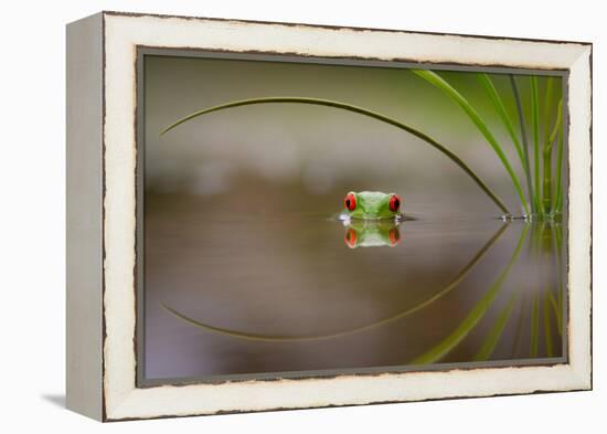 Beauty of Reflection-Kutub Uddin-Framed Premier Image Canvas