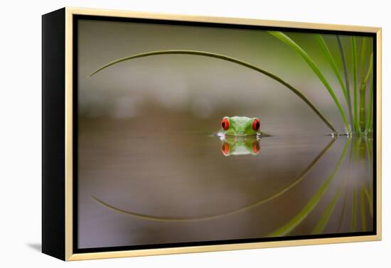 Beauty of Reflection-Kutub Uddin-Framed Premier Image Canvas