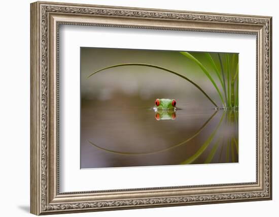 Beauty of Reflection-Kutub Uddin-Framed Photographic Print