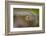 Beauty of Reflection-Kutub Uddin-Framed Photographic Print