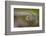 Beauty of Reflection-Kutub Uddin-Framed Photographic Print