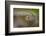 Beauty of Reflection-Kutub Uddin-Framed Photographic Print