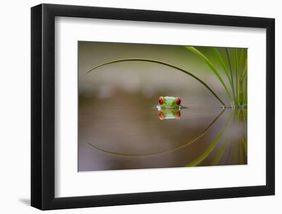 Beauty of Reflection-Kutub Uddin-Framed Photographic Print