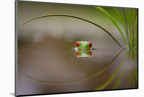 Beauty of Reflection-Kutub Uddin-Mounted Photographic Print