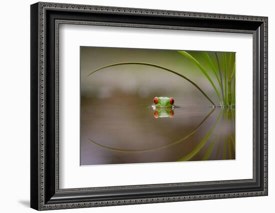 Beauty of Reflection-Kutub Uddin-Framed Photographic Print