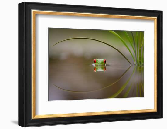 Beauty of Reflection-Kutub Uddin-Framed Photographic Print