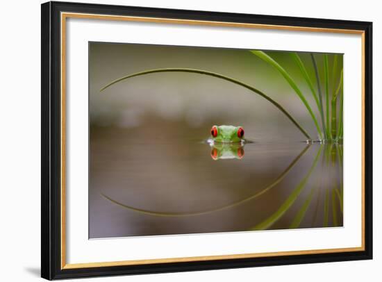 Beauty of Reflection-Kutub Uddin-Framed Photographic Print