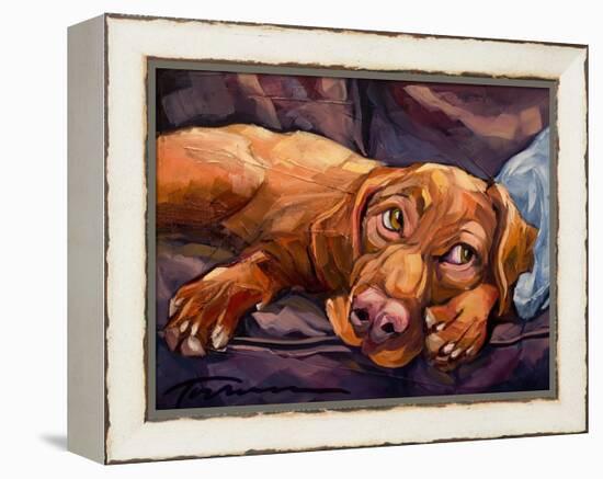 Beauty Rest-Connie R. Townsend-Framed Stretched Canvas