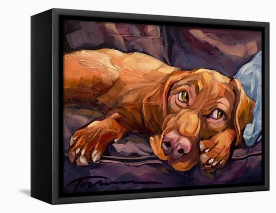 Beauty Rest-Connie R. Townsend-Framed Stretched Canvas