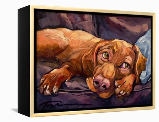 Beauty Rest-Connie R. Townsend-Framed Stretched Canvas