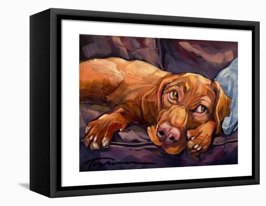 Beauty Rest-Connie R. Townsend-Framed Stretched Canvas