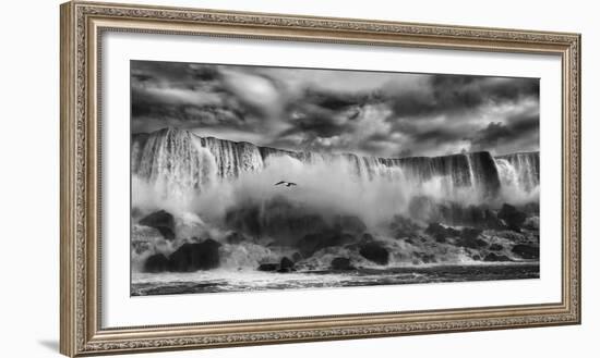 Beauty Unbound!!-Yvette Depaepe-Framed Photographic Print