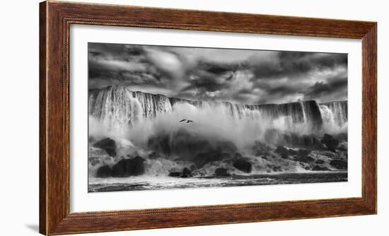 Beauty Unbound!!-Yvette Depaepe-Framed Photographic Print