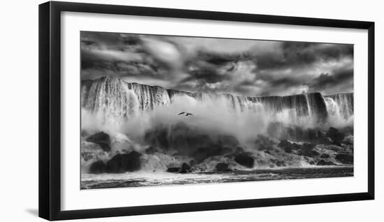 Beauty Unbound!!-Yvette Depaepe-Framed Photographic Print