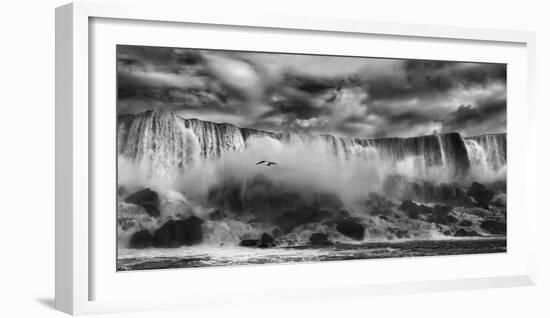 Beauty Unbound!!-Yvette Depaepe-Framed Photographic Print