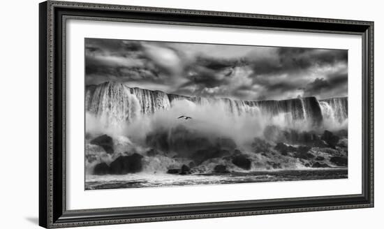 Beauty Unbound!!-Yvette Depaepe-Framed Photographic Print