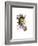 Beauty-Mark Ashkenazi-Framed Giclee Print