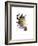 Beauty-Mark Ashkenazi-Framed Giclee Print