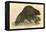 Beaver (1814)-null-Framed Stretched Canvas