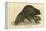 Beaver (1814)-null-Framed Stretched Canvas