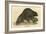 Beaver (1814)-null-Framed Art Print