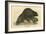 Beaver (1814)-null-Framed Art Print