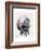 Beaver, 2001-Mark Adlington-Framed Giclee Print